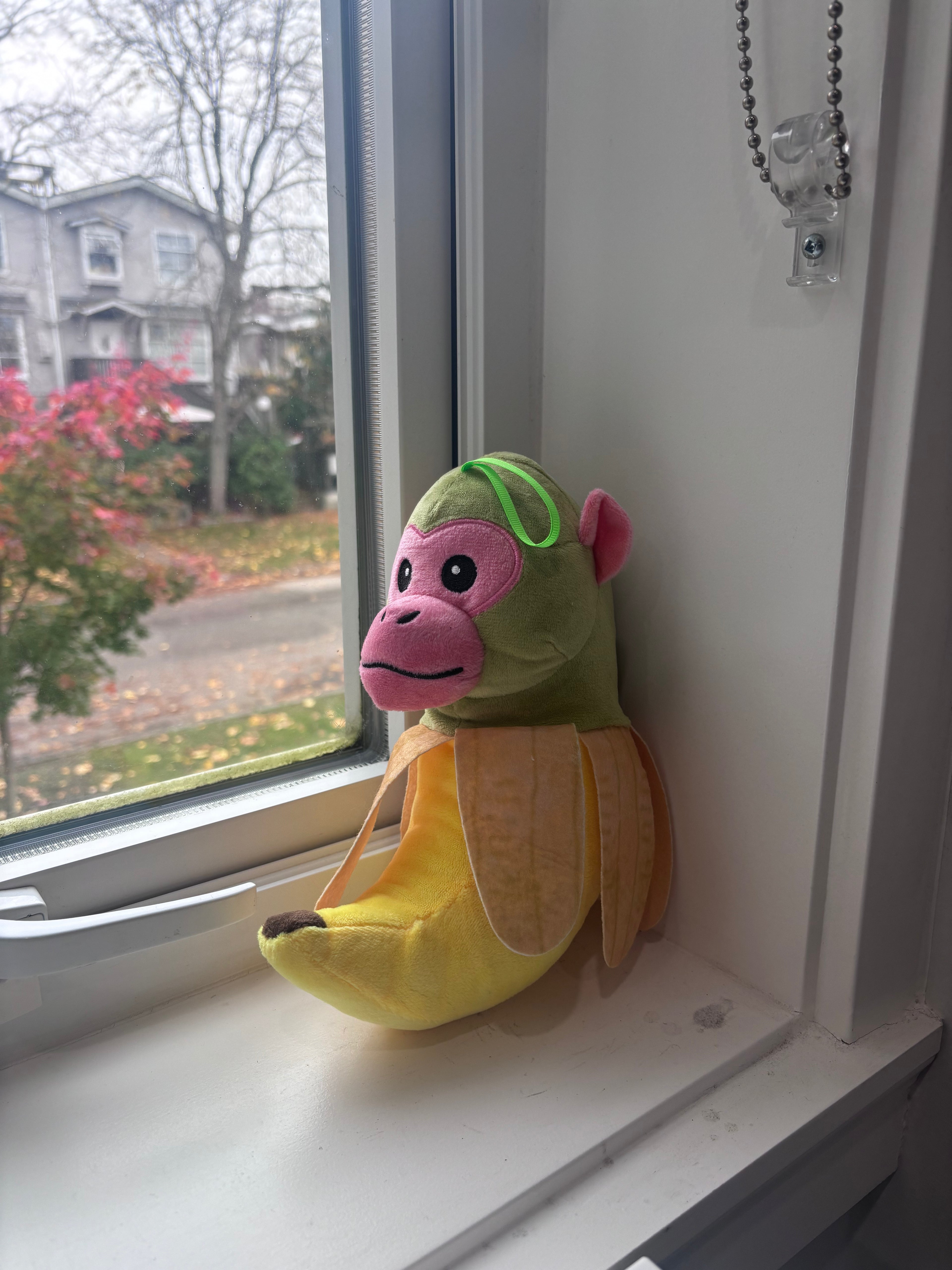 Chimpanzini Banini - Banana Money